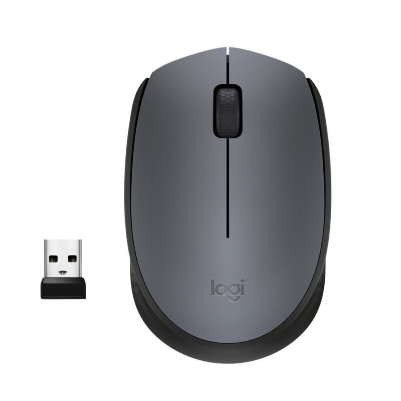 Souris sans fil Logitech M170 Gris (910-004642)